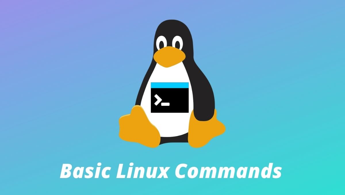 linux common commands